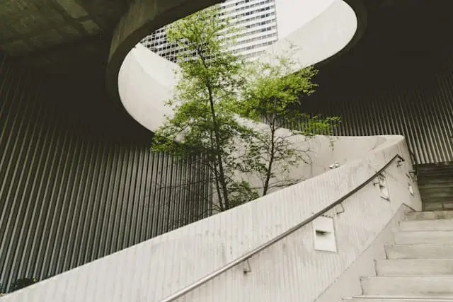 rounded stairs with a tree in the middle
